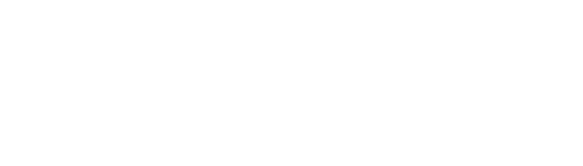 RIPE Member Logo
